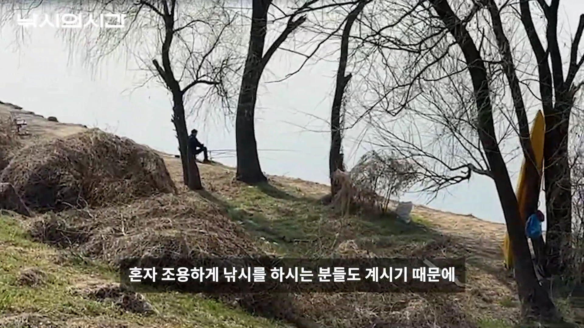 강가 나무 아래에 앉아 낚싯대를 드리우고 있는 낚시꾼의 뒷모습과 주변 풍경