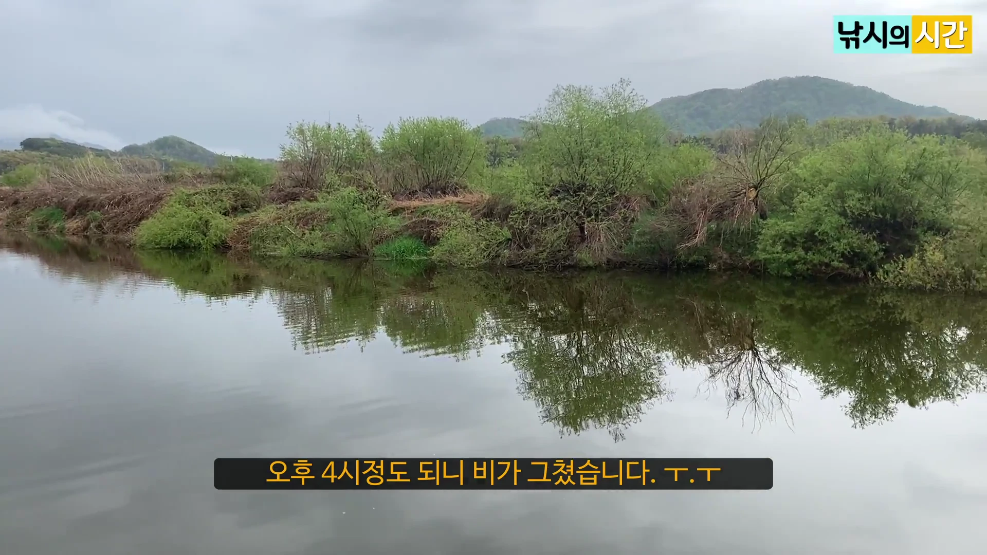 비가 그친 후 잔잔한 강물과 푸른 나무들이 어우러진 노지 낚시터 풍경