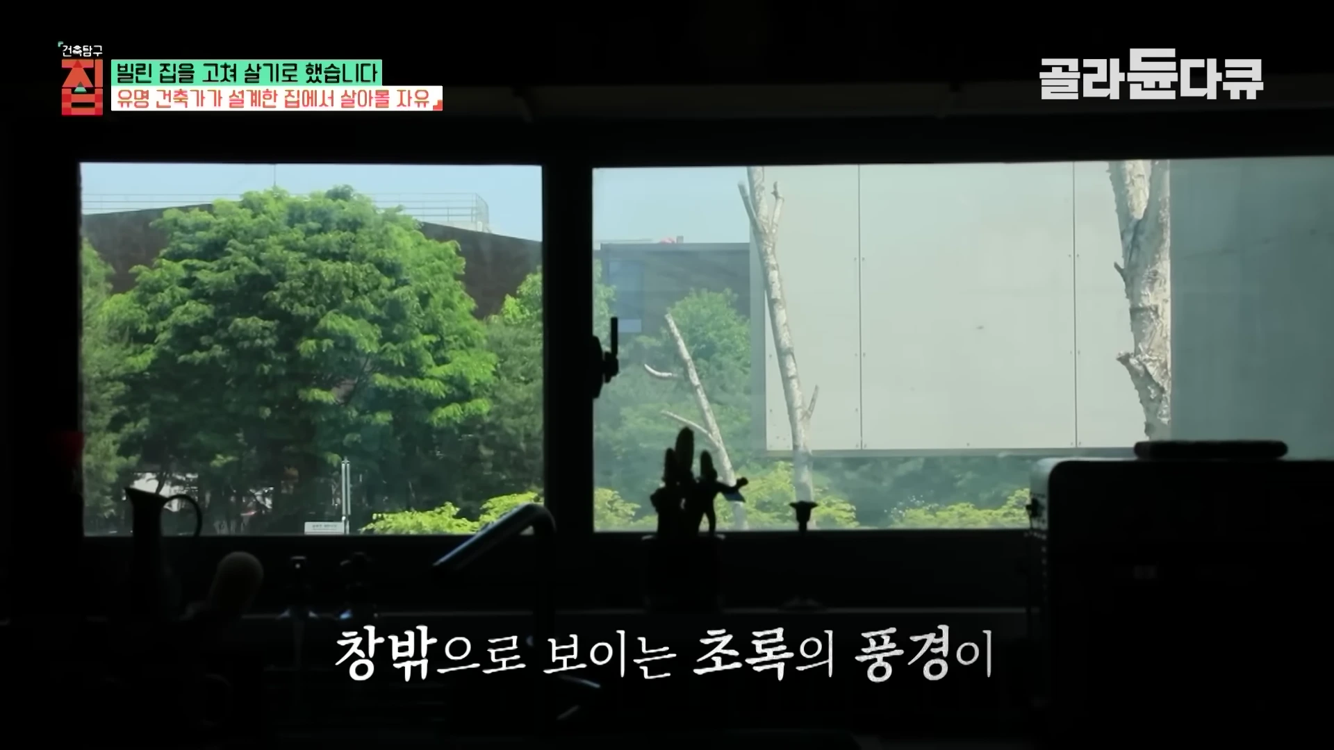 실내에서 창밖으로 보이는 푸른 나무와 건물 풍경이 담긴 영상 캡처 화면