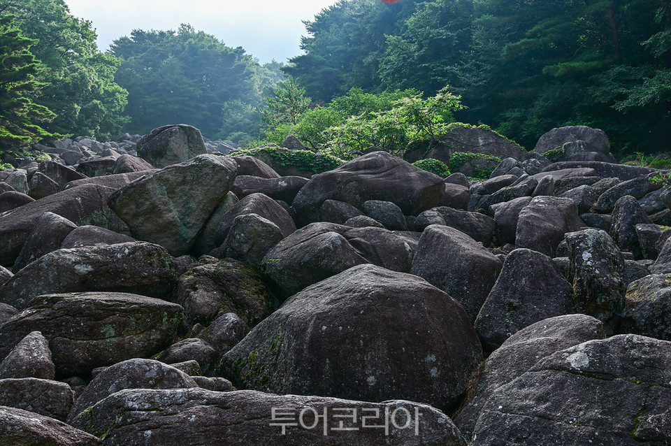 비슬산 암괴류 비슬산 천왕봉 /사진-달성군