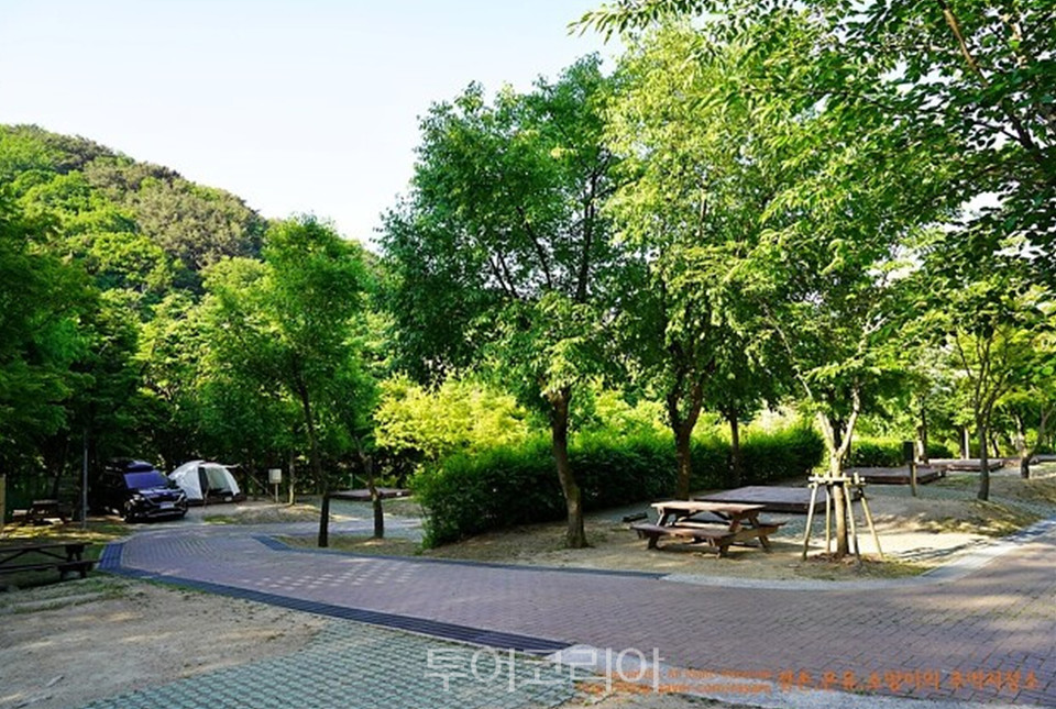 팔공산 야영장 / 사진-대구시