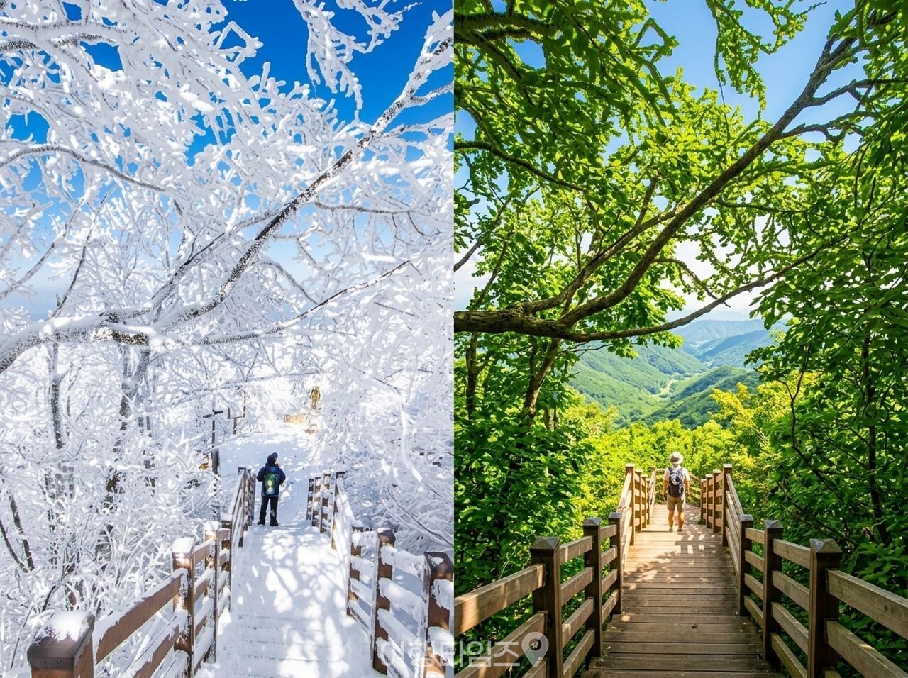 대둔산 / 사진=게티이미지뱅크