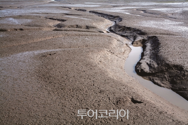 안좌도 박지반월 갯벌/ 사진-신안군 제공