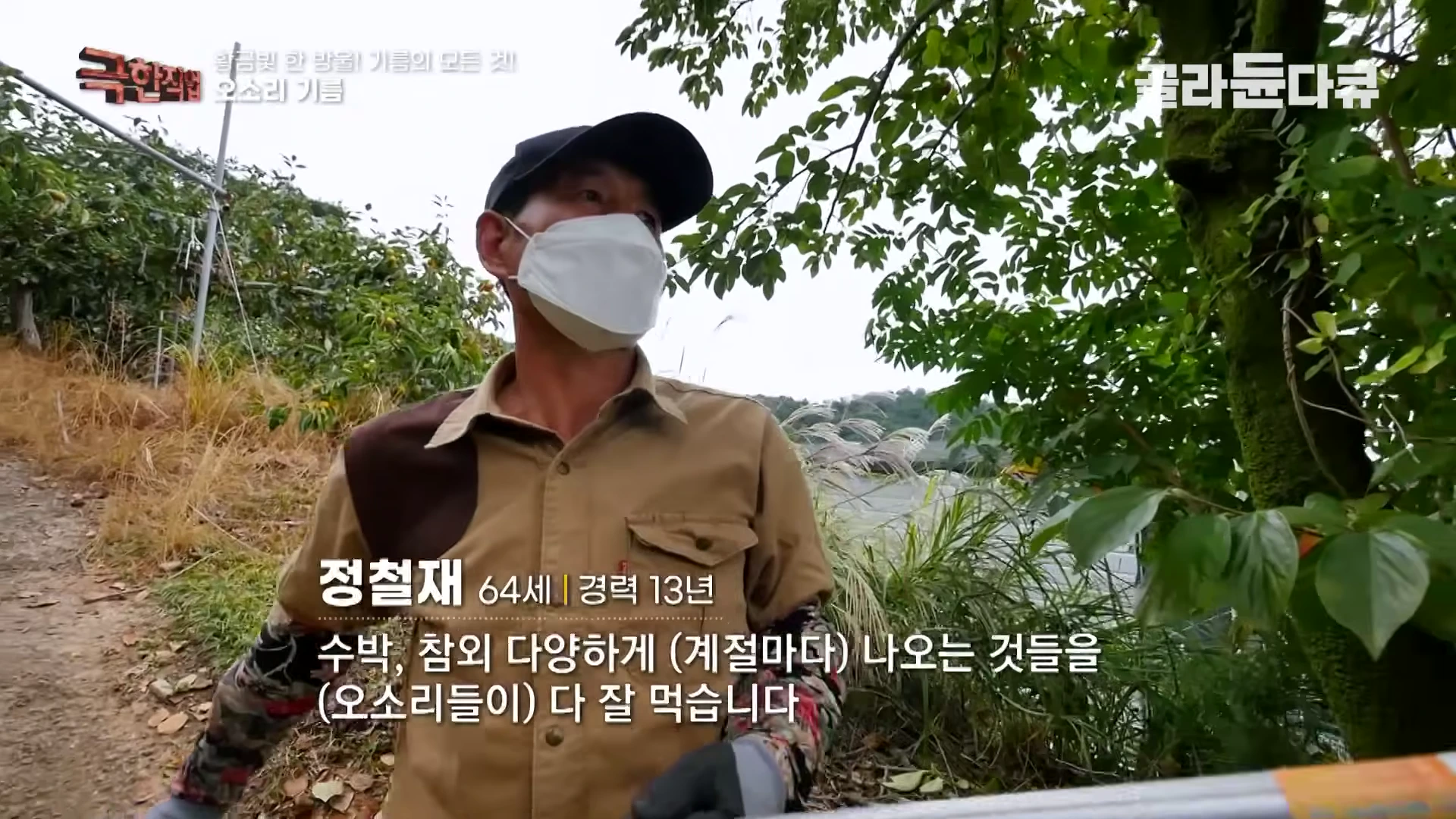 마스크를 쓴 남성이 야외 밭에서 인터뷰하는 모습이 담긴 방송 화면