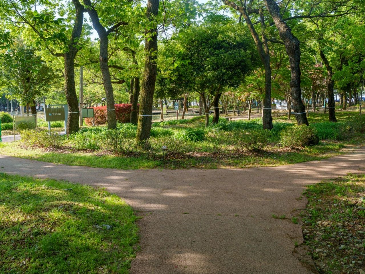 남해 앵간다숲 / 사진=남해군 공식 블로그 서지현