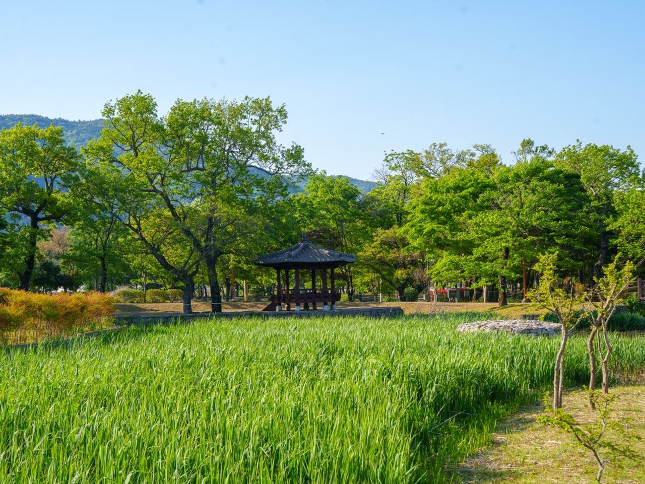 남해 앵간다숲 / 사진=남해군 공식 블로그 서지현