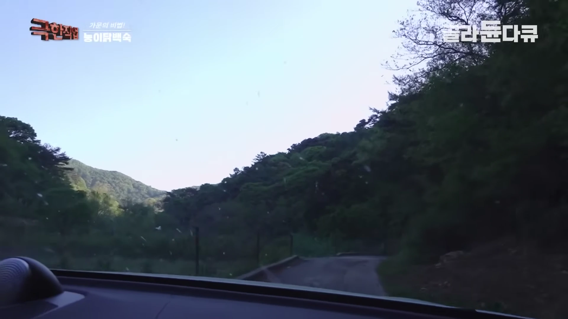 차 안에서 바라본 푸른 숲과 산길이 이어지는 풍경