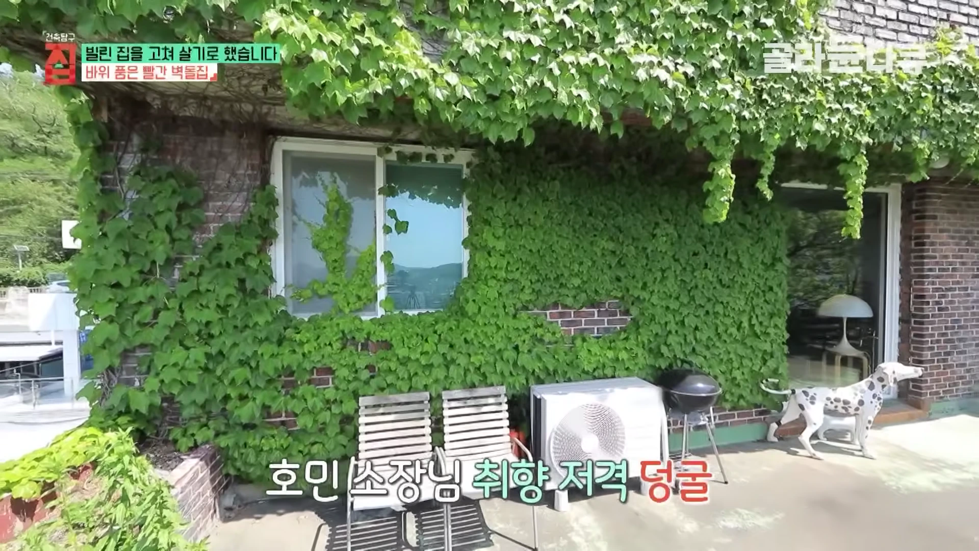 푸른 담쟁이덩굴이 뒤덮인 붉은 벽돌집 테라스에 의자와 실외기가 놓여 있는 모습