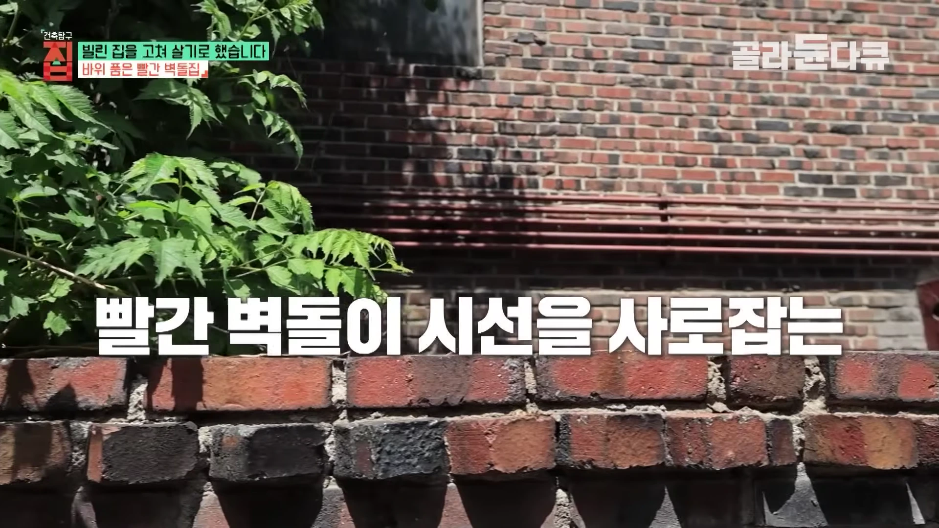 햇살을 받는 붉은 벽돌 담벼락과 그 옆에 자라난 푸른 식물, 그리고 '빨간 벽돌이 시선을 사로잡는'이라는 자막이 적힌 영상 화면