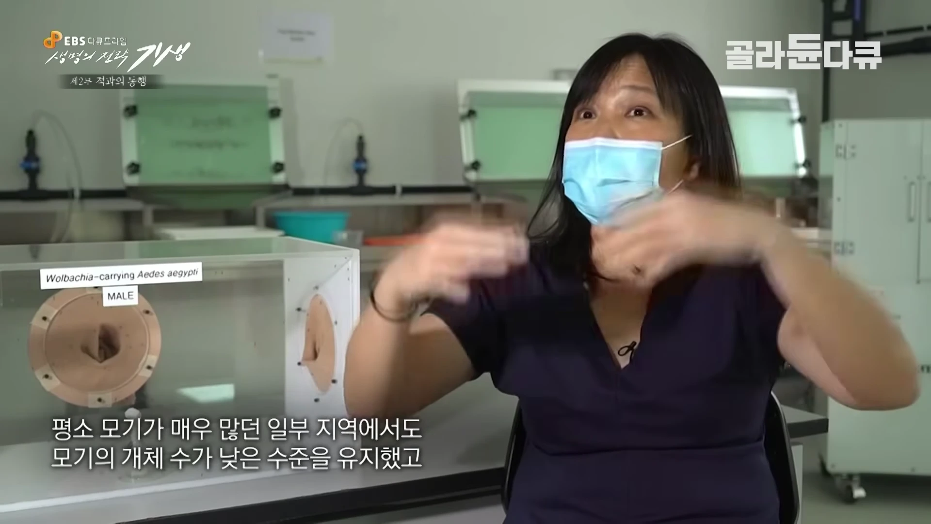실험실에서 마스크를 쓴 여성이 모기 방제 연구에 대해 설명하고 있다