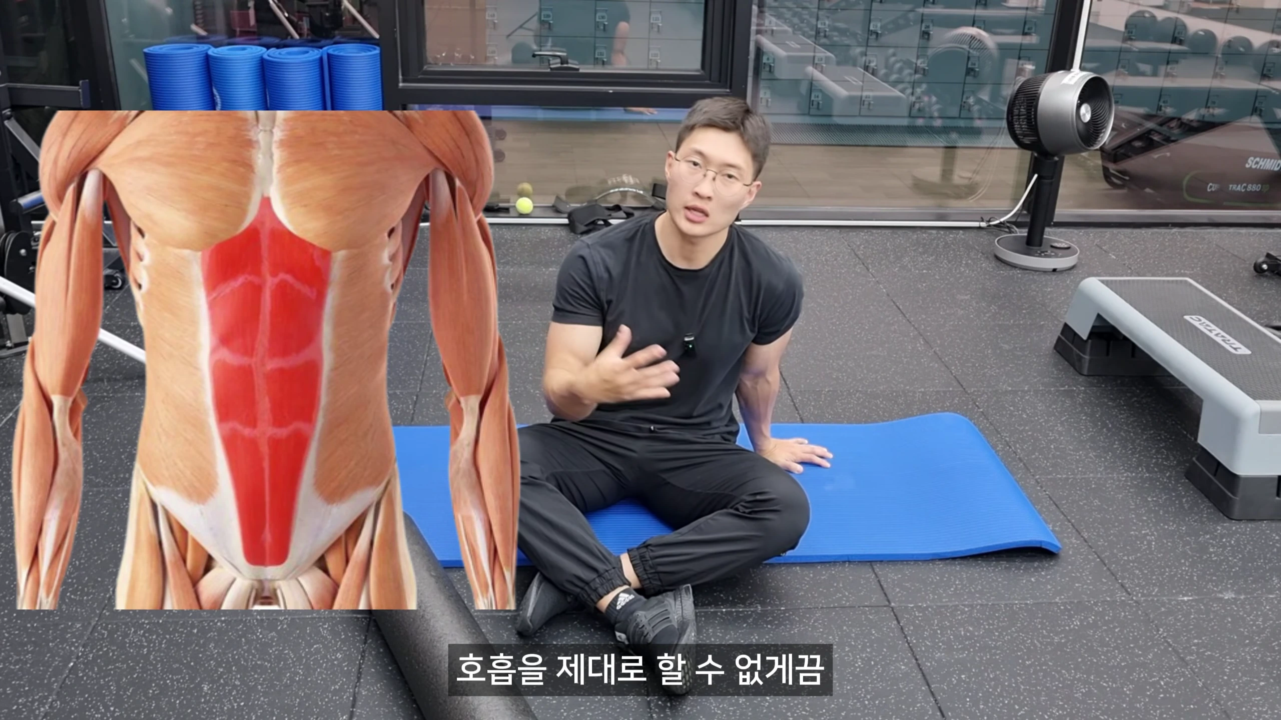 체육관 바닥에 앉은 트레이너 옆으로 복직근이 강조된 인체 해부도 그래픽이 떠 있다.