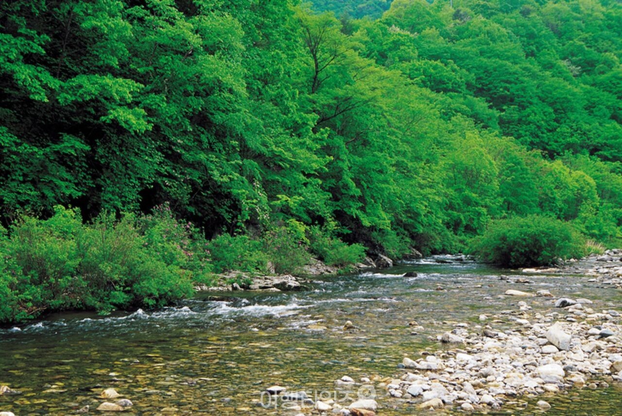 흥정계곡 / 사진=게티이미지뱅크