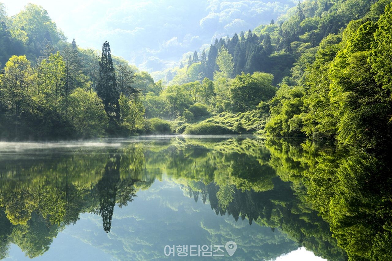 세량지 / 사진=게티이미지뱅크