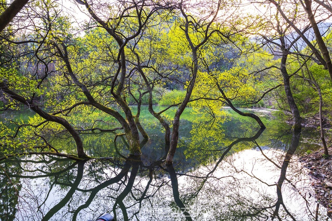 세량지 / 사진=게티이미지뱅크
