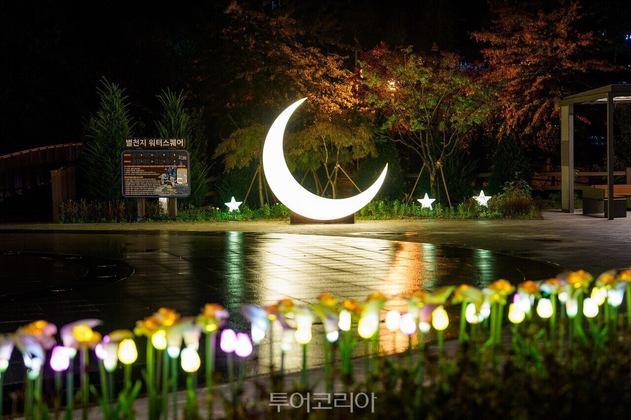 증평 좌구산  별천지공원 야경/사진-증평군