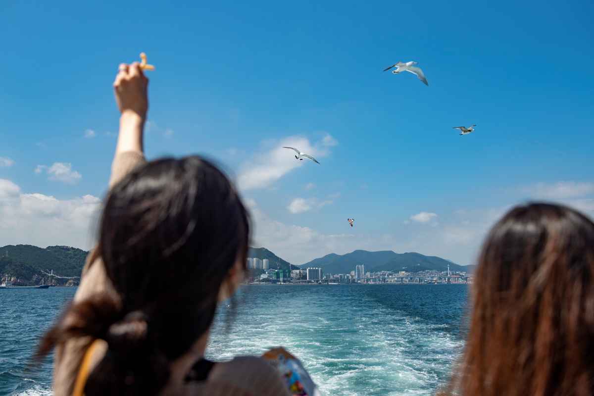 사람 사는 냄새가 나는 부산 / 사진=부산관광공사 써머트리
