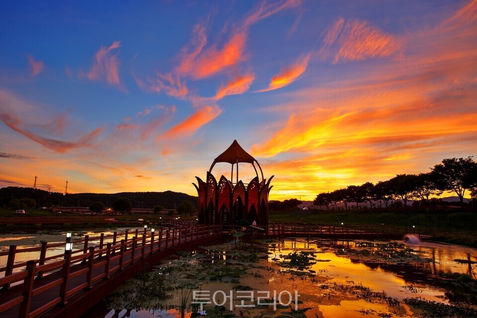 한 폭의 그림같은 석양을 감상할 수 있는 황룡강 연꽃정원 전망대 /사진=장성군