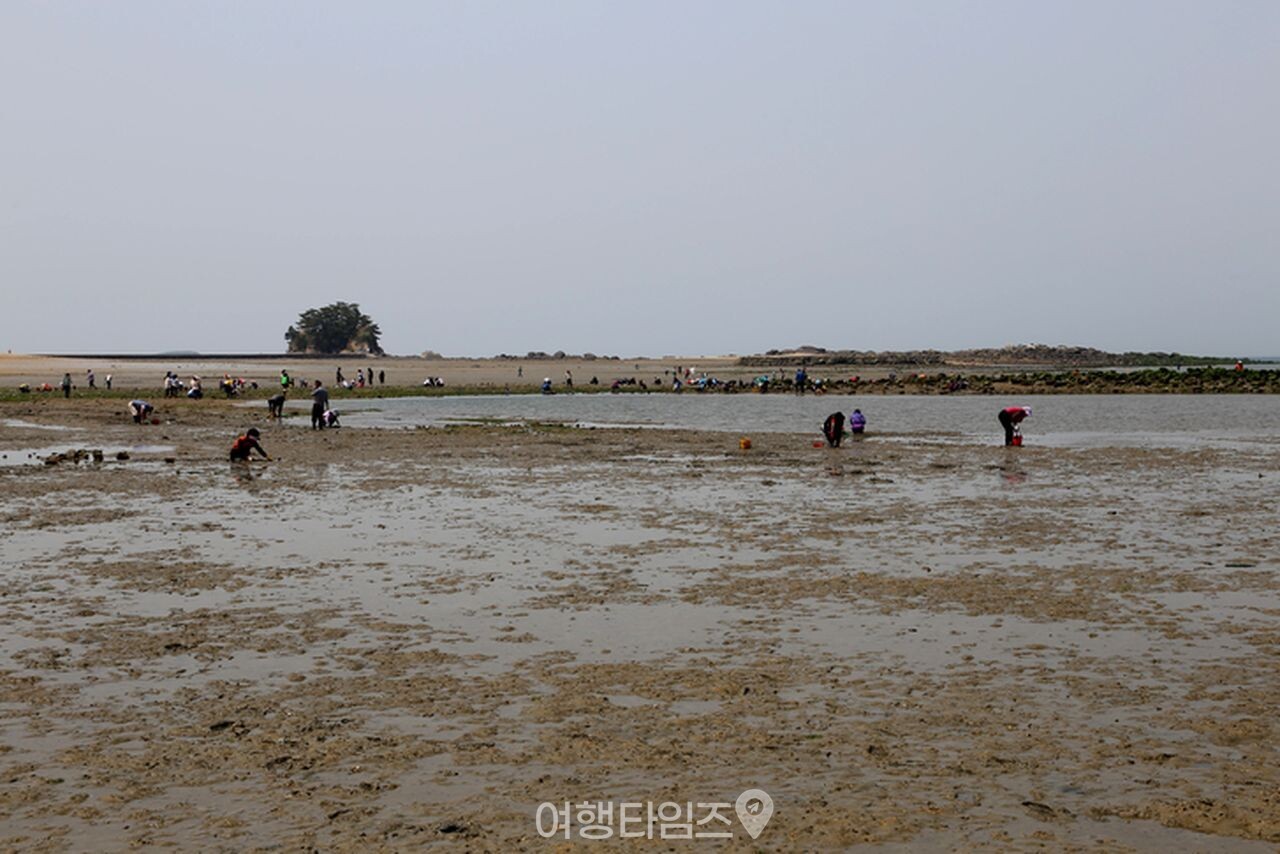 무창포 / 사진=게티이미지뱅크