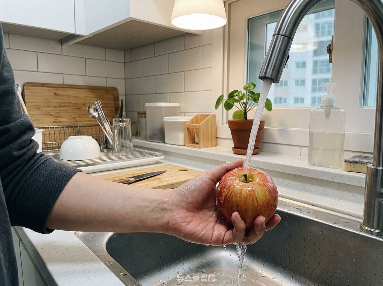 과일 세척 / 사진=뉴스클립