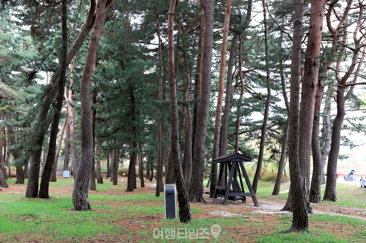 경포해수욕장 / 사진=게티이미지뱅크