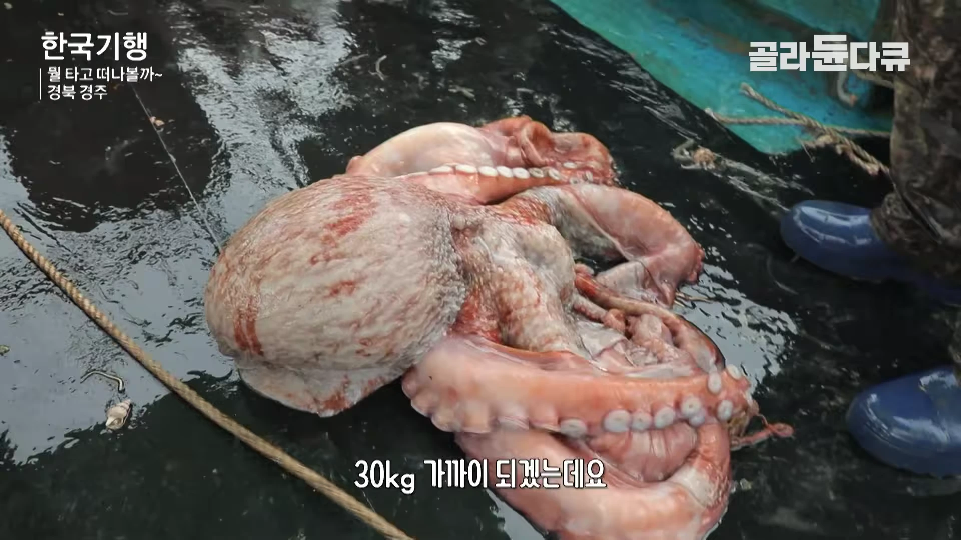 어선 갑판 위에 놓인 거대한 붉은색 문어의 모습과 그 옆으로 파란색 장화가 살짝 보입니다.