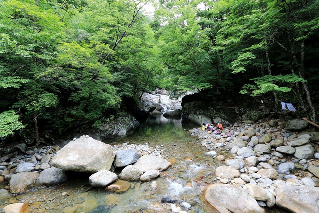 칠선계곡 / 사진=게티이미지뱅크