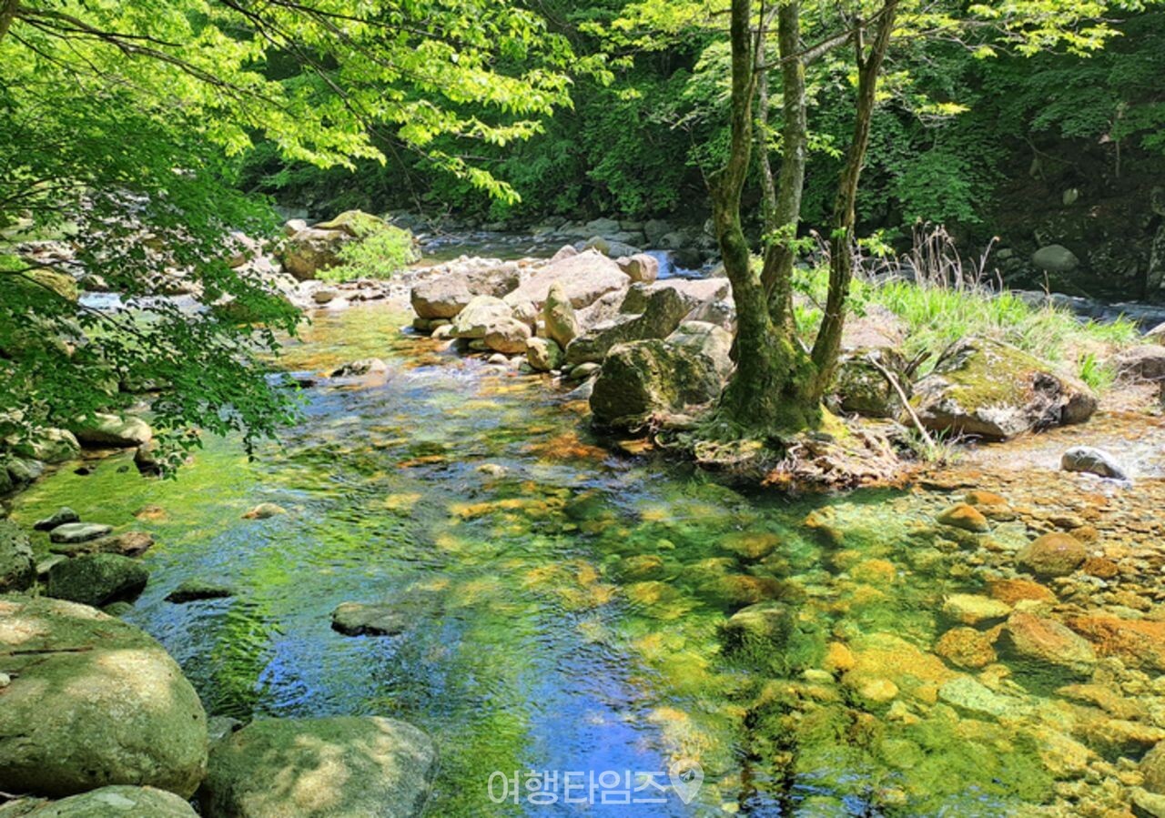 지리산 뱀사골 계곡 / 사진=게티이미지뱅크