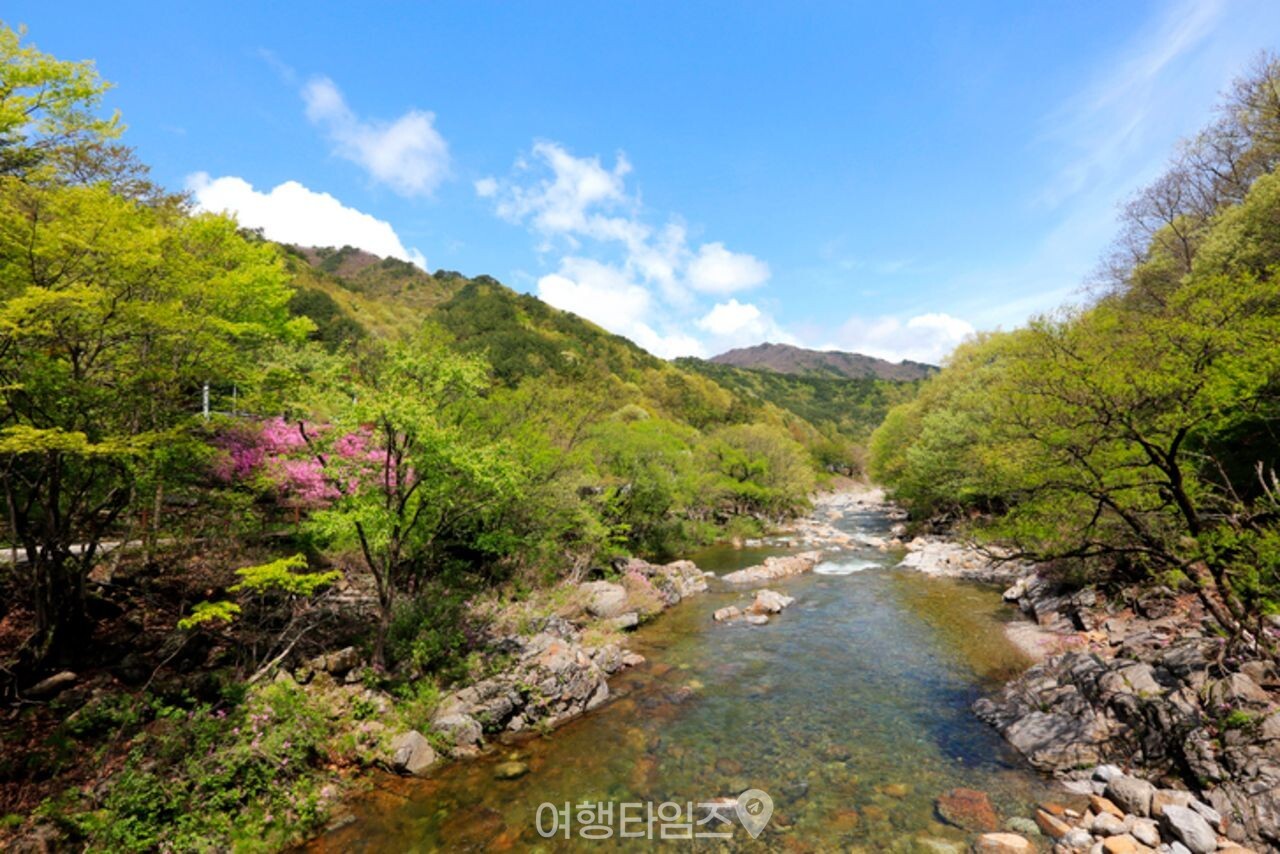 지리산 뱀사골 계곡 / 사진=게티이미지뱅크