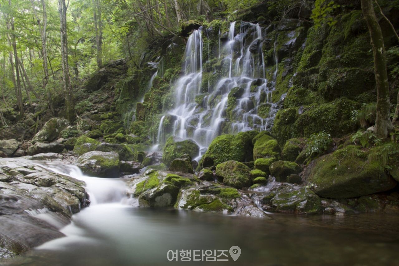 지리산 뱀사골 계곡 / 사진=게티이미지뱅크