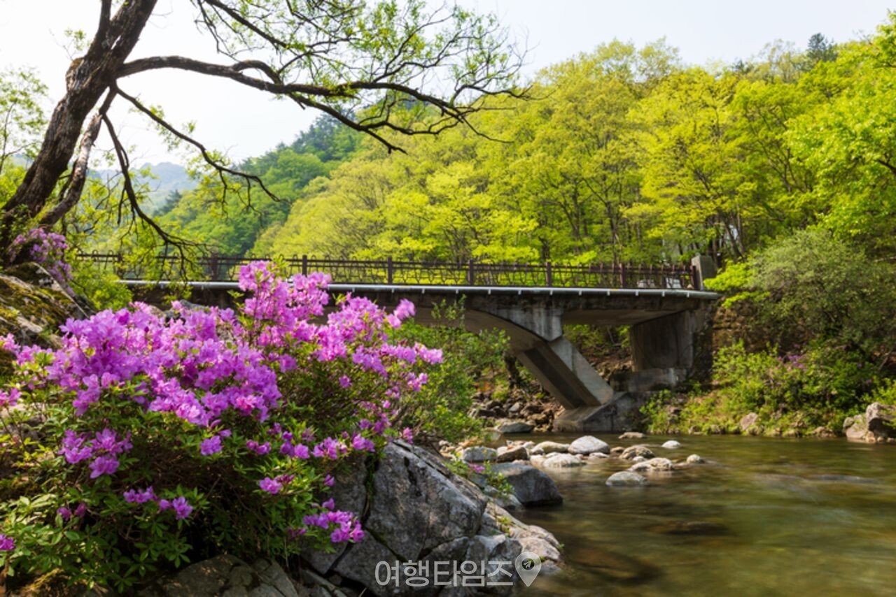 지리산 뱀사골 계곡 / 사진=게티이미지뱅크