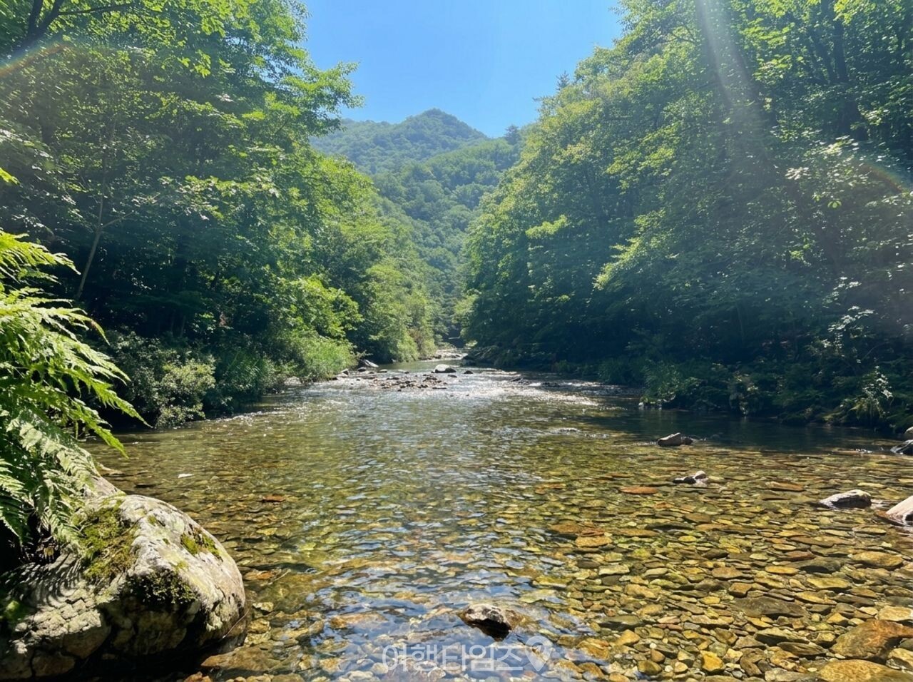 아침가리계곡 / 여행타임즈