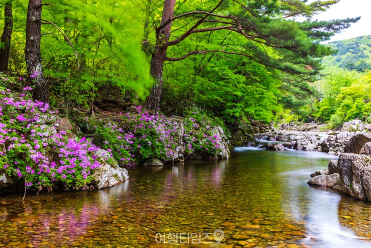 달궁계곡 / 사진=게티이미지뱅크