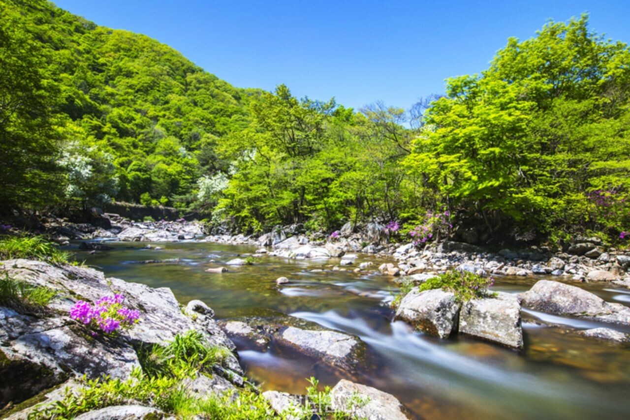 달궁계곡 / 사진=게티이미지뱅크