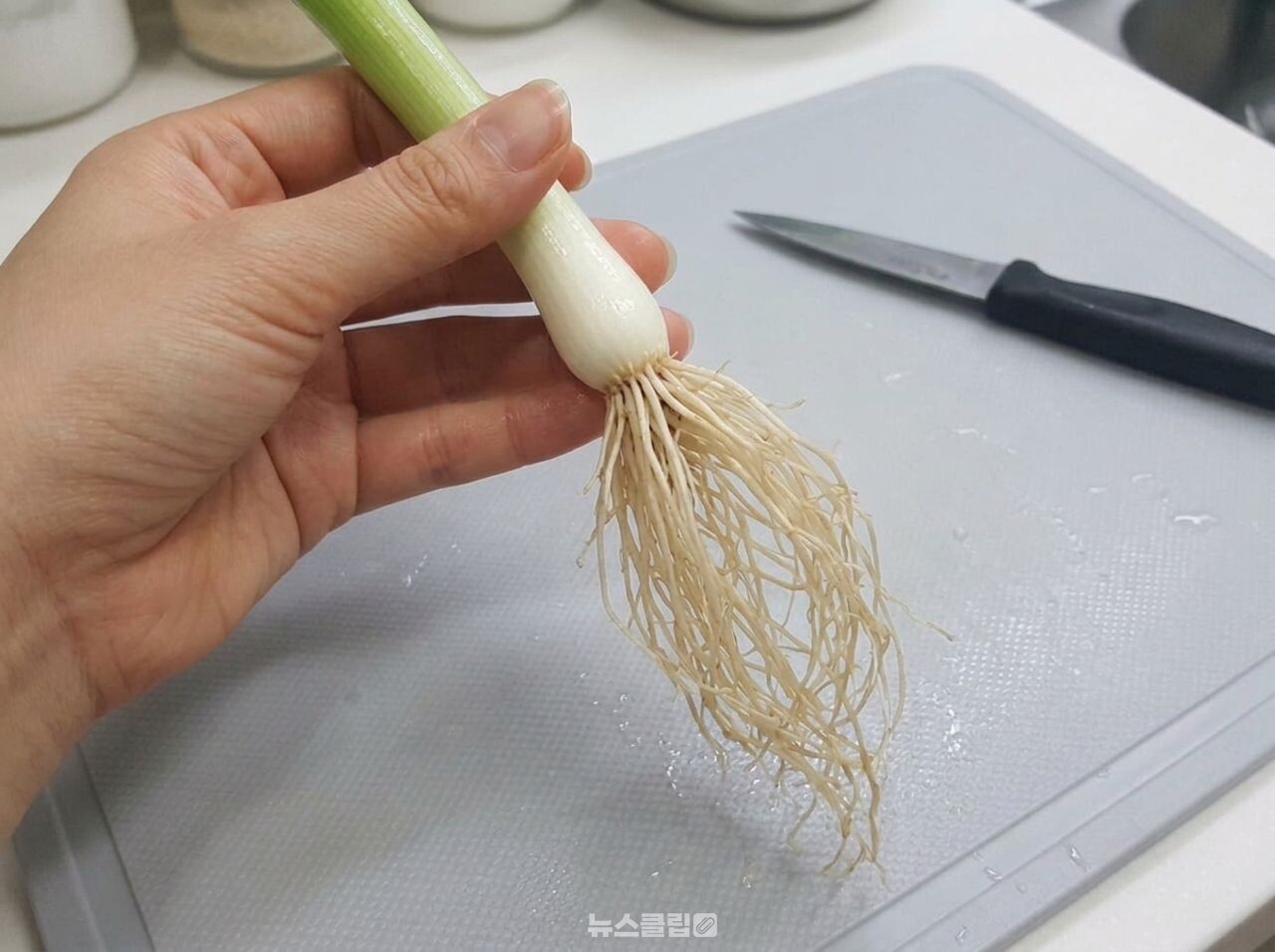 대파 뿌리 육수 / 사진=뉴스클립