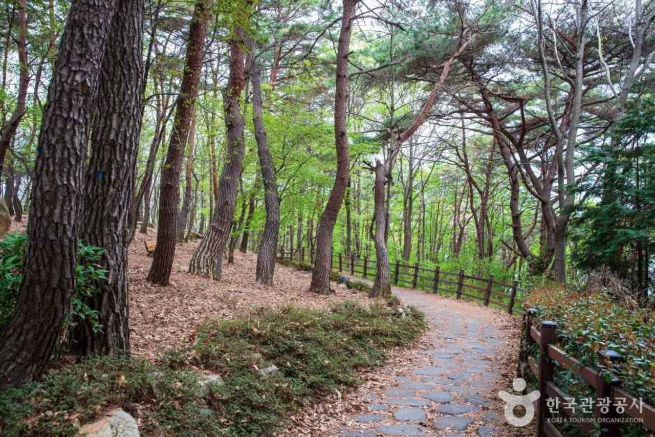 임경대 / 한국관광콘텐츠랩-김지호