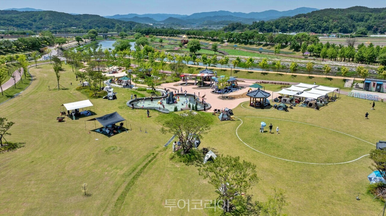 장성호 수변길 황금빛출렁다리  황룡강 황미르랜드 / 사진- 장성군 제공