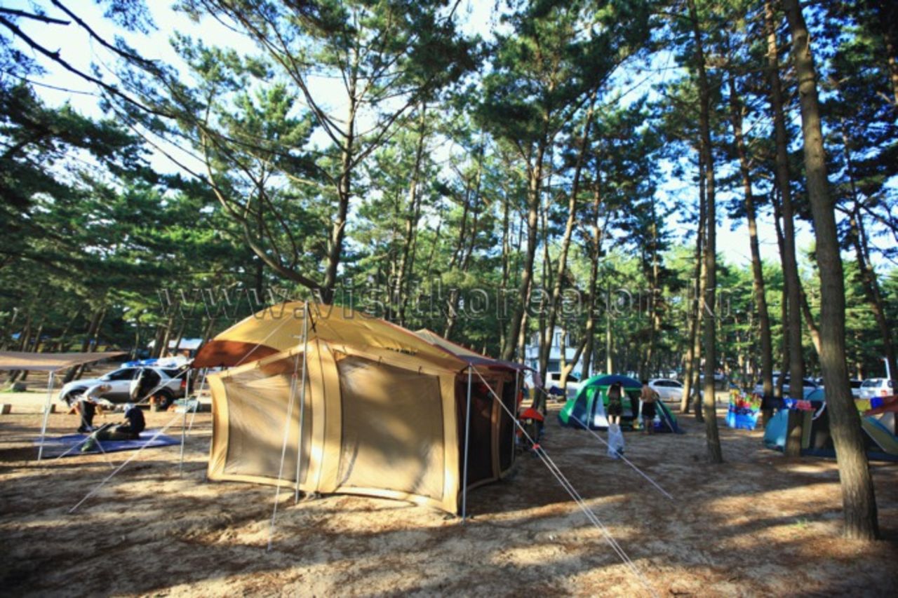 몽산포해수욕장 / 한국관광콘텐츠랩-김지호