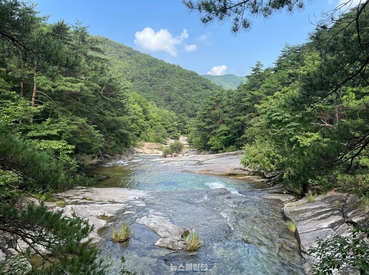 도림사 계곡 / 뉴스클립