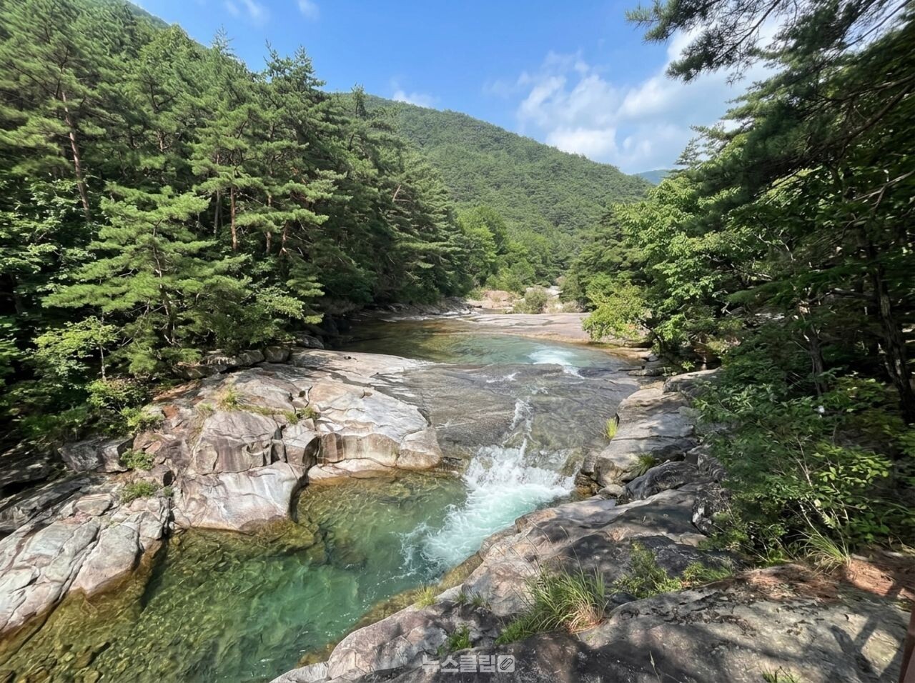 도림사 계곡 / 뉴스클립