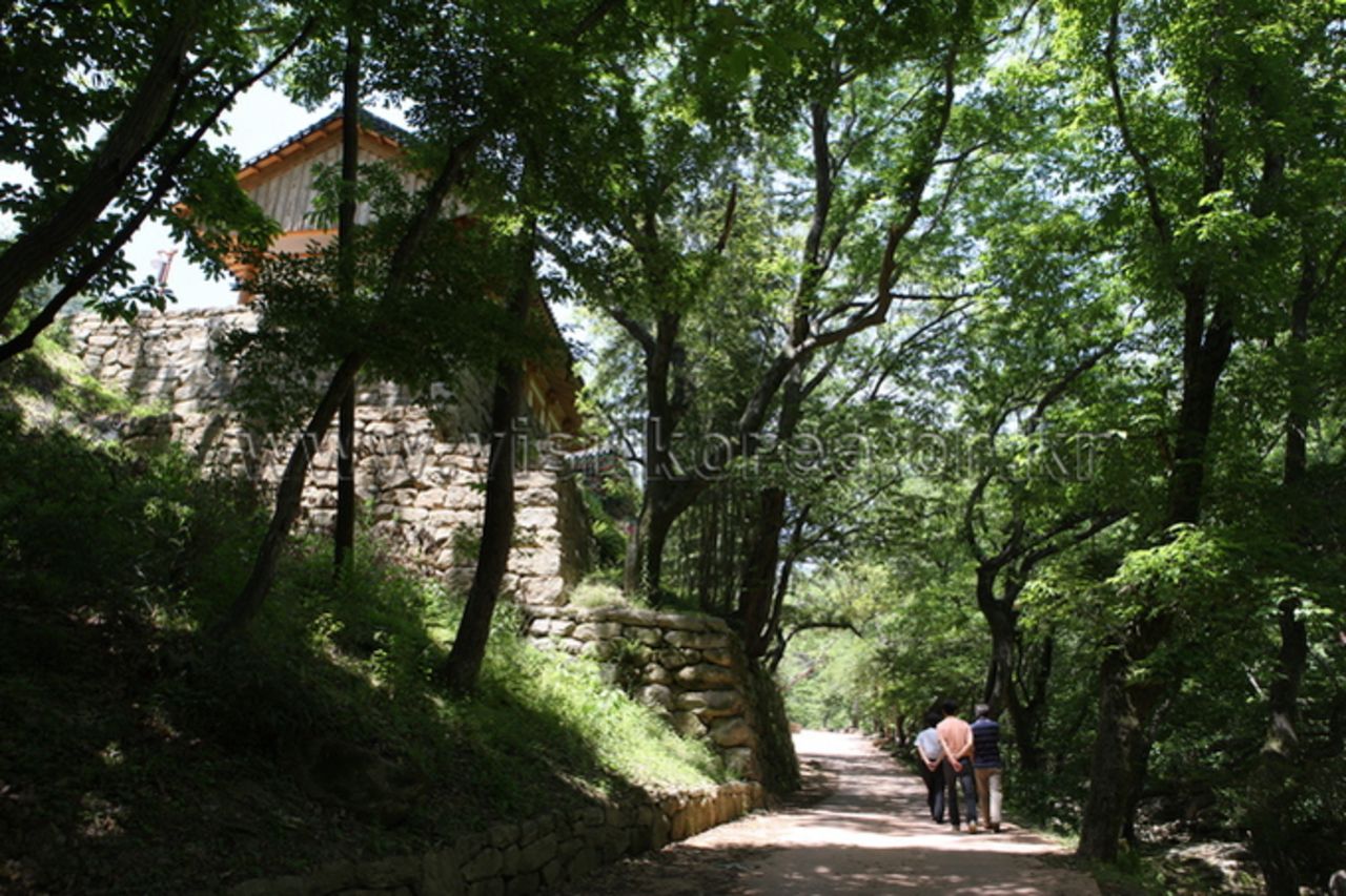 도림사 / 한국관광콘텐츠랩-김지호