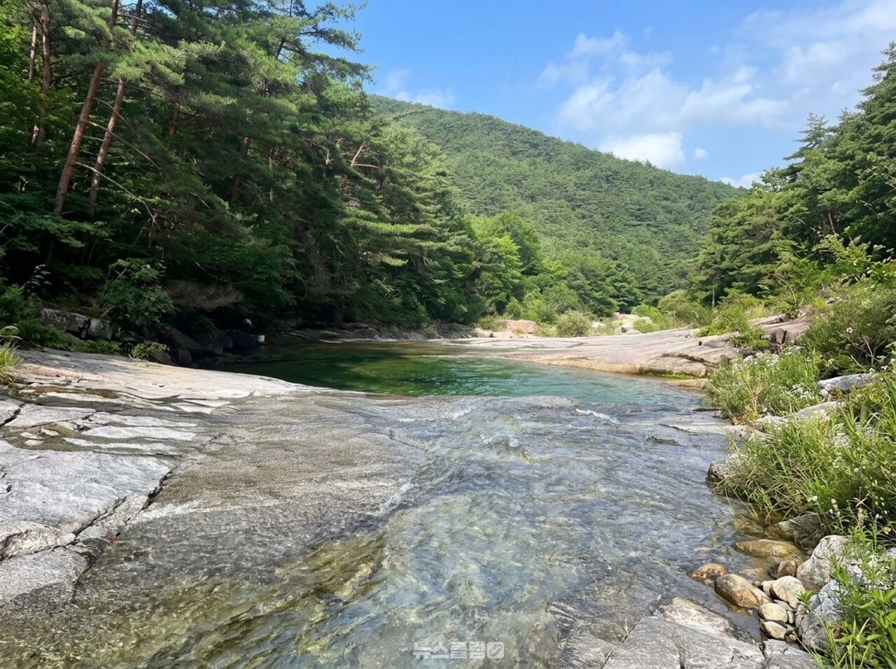 도림사 계곡 / 뉴스클립