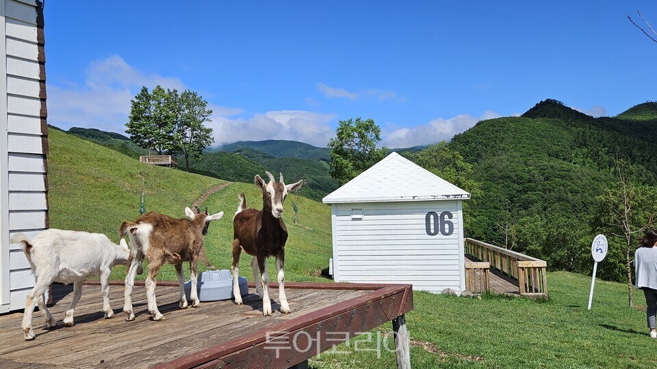 몽토랑 목장  ⓒ투어코리아