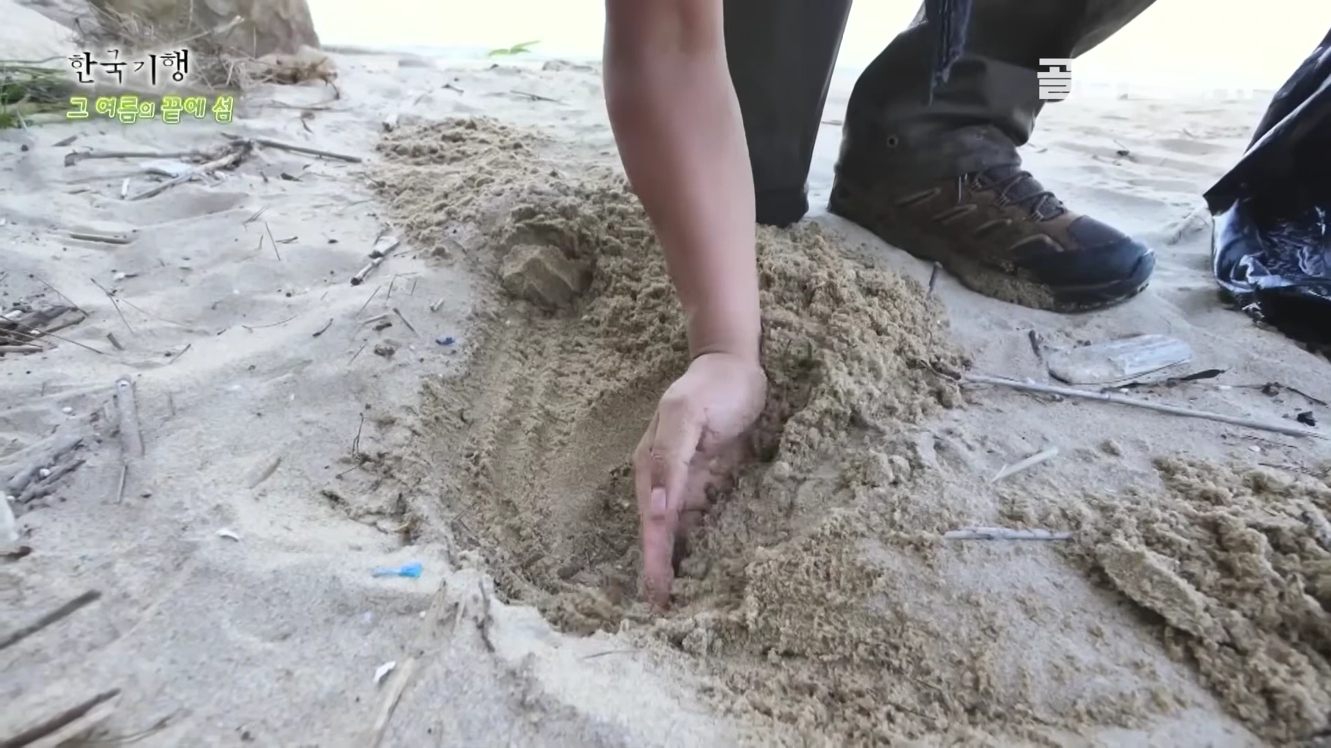 모래사장 위에 등산화를 신은 사람이 웅크리고 앉아 손으로 모래를 파헤치며 무언가를 찾거나 작업하고 있는 모습