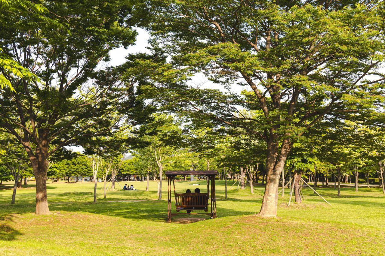 을숙도 / 한국관광콘텐츠랩-장정수