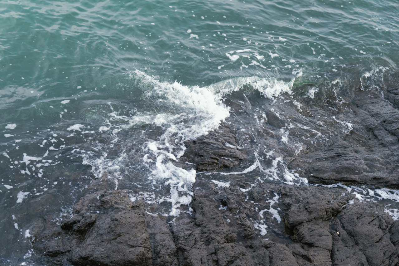 태풍 돌핀, 한반도 영향 가능성은? (기사 이해를 위한 이미지) / 사진=unsplash