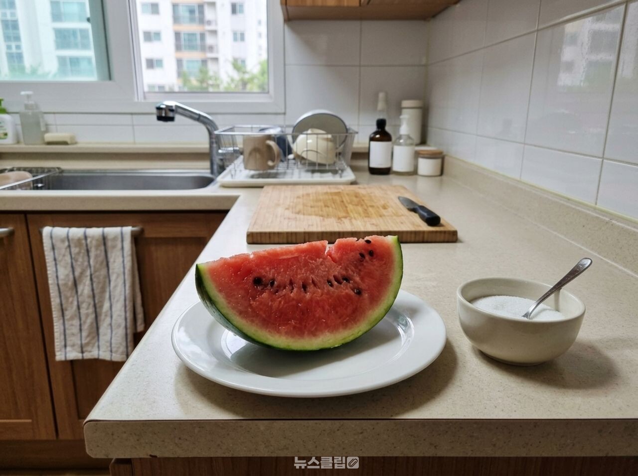 수박 / 기사 이해를 돕기 위한 AI 이미지