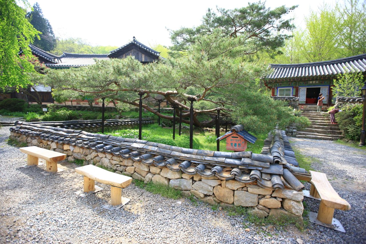 선암사계곡 / 한국관광콘텐츠랩-김지호