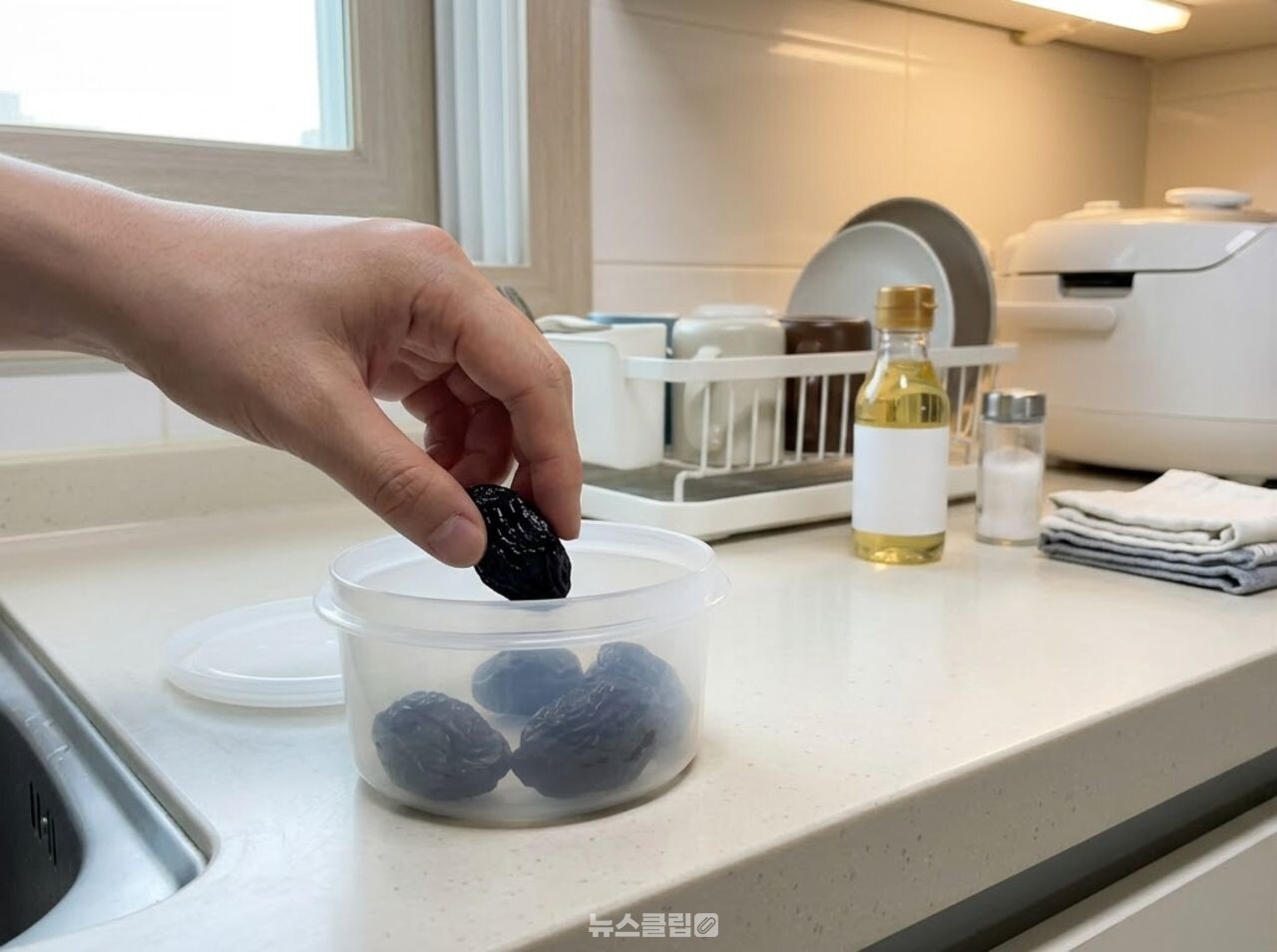 푸룬 / 기사 이해를 돕기 위한 AI 이미지