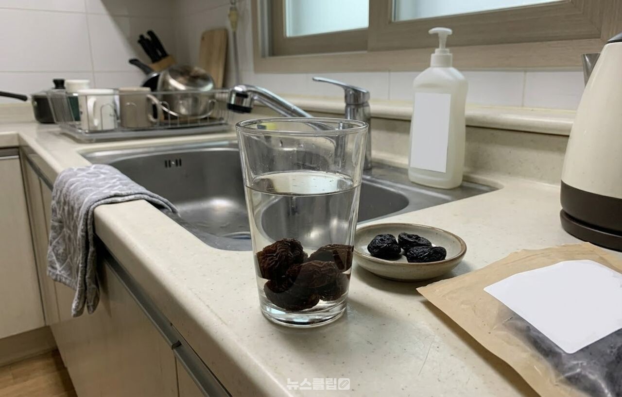 푸룬 / 기사 이해를 돕기 위한 AI 이미지