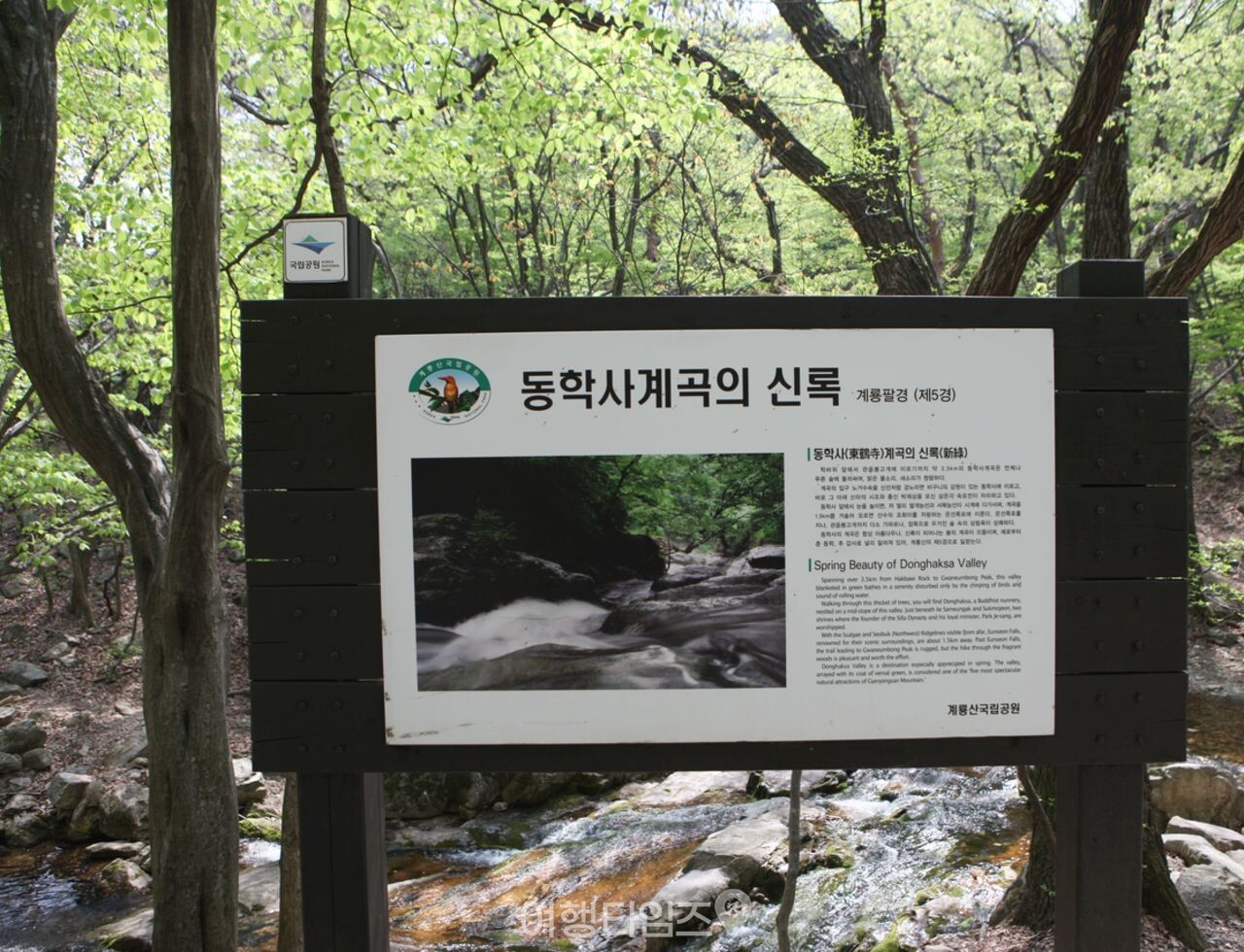 동학사계곡 / 한국관광콘텐츠랩-김지호